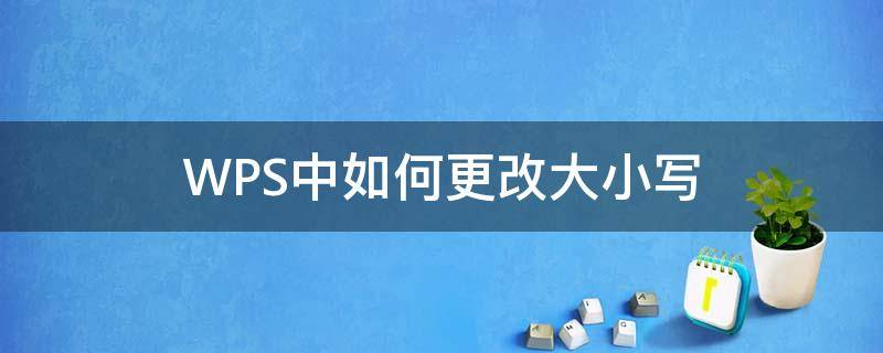 WPS中如何更改大小写 wps怎么更改大小写