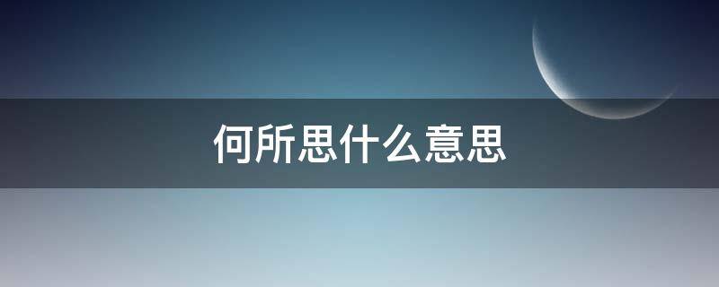 何所思什么意思（若有所思什么意思）