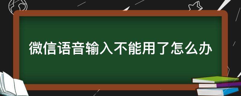 微信语音输入不能用了怎么办（微信的语音输入怎么不能用了）