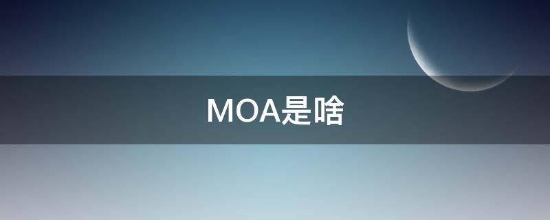 MOA是啥（moa是啥软件）