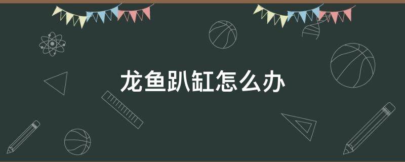 龙鱼趴缸怎么办 新龙鱼趴缸怎么处理