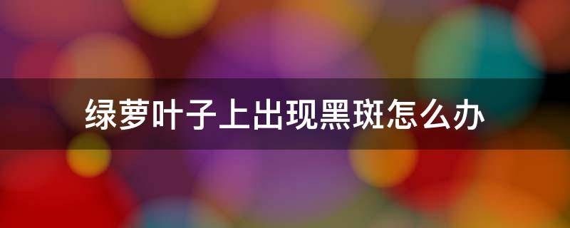 绿萝叶子上出现黑斑怎么办 绿萝叶子上有黑斑怎么办