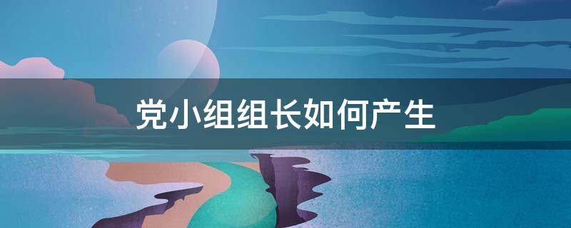 党小组组长如何产生（党小组长如何产生?）