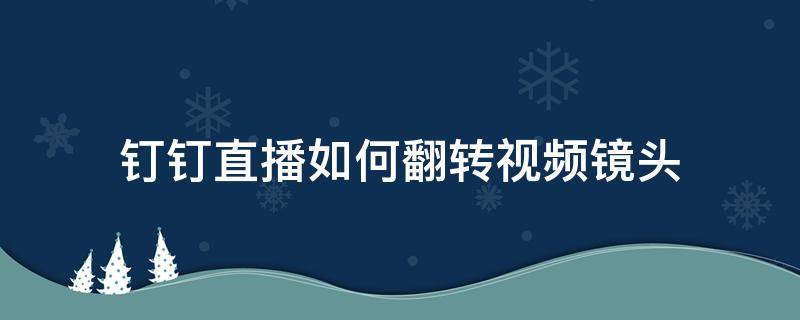 钉钉直播如何翻转视频镜头 钉钉直播怎么翻转屏幕