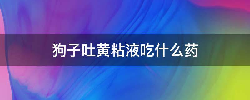 狗子吐黄粘液吃什么药 小狗吐黄粘液怎么回事吃什么药