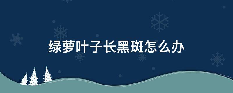 绿萝叶子长黑斑怎么办 绿萝叶子有黑斑怎么办