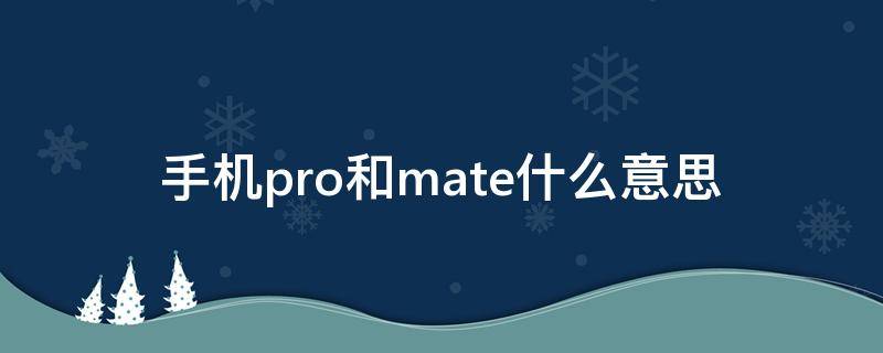 手机pro和mate什么意思 华为mate pro和mate pro+的区别