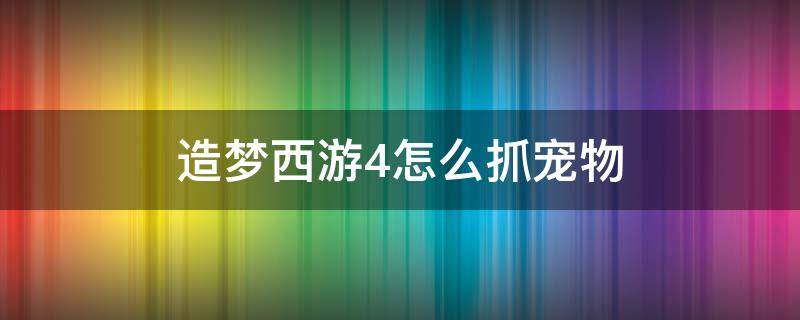 造梦西游4怎么抓宠物（造梦西游4怎么抓宠物电脑版）