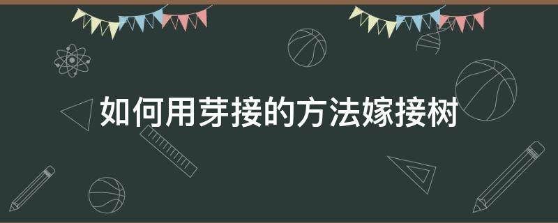 如何用芽接的方法嫁接树（嫁接树怎样嫁接）