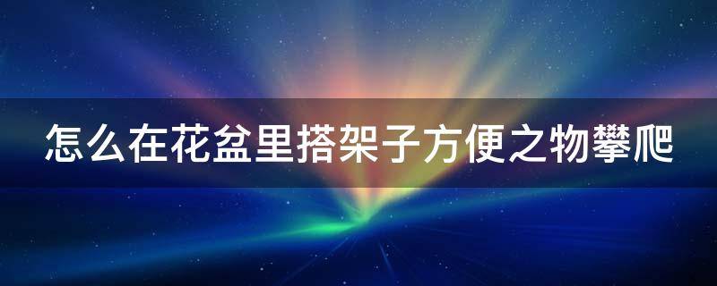 怎么在花盆里搭架子方便之物攀爬 怎么在花盆里搭架子方便之物攀爬