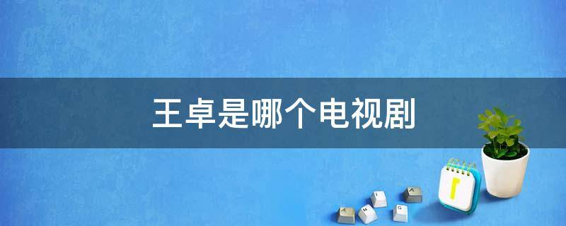 王卓是哪个电视剧 王卓是哪部电视剧