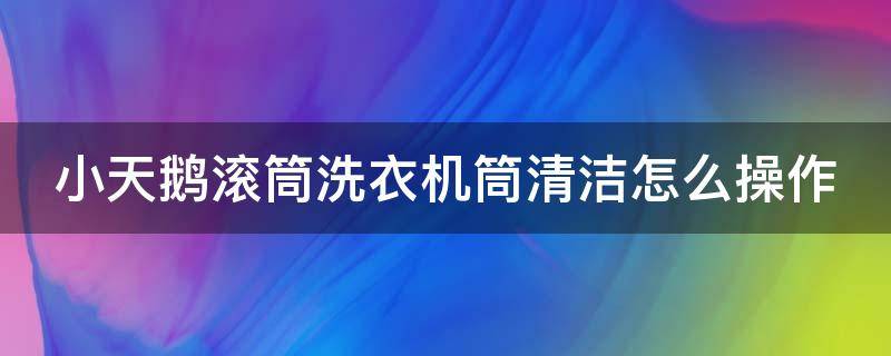 小天鹅滚筒洗衣机筒清洁怎么操作 小天鹅滚筒洗衣机怎样清洁