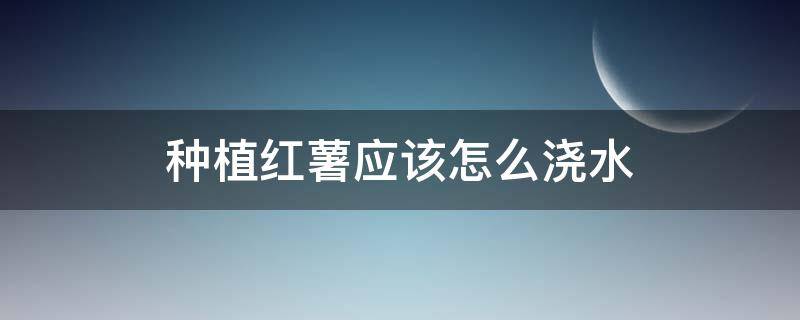 种植红薯应该怎么浇水 红薯怎样浇水