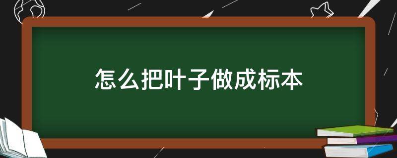 怎么把叶子做成标本 如何将叶子做成标本