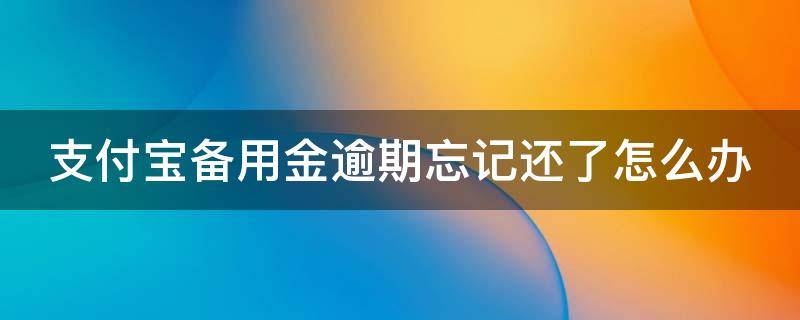 支付宝备用金逾期忘记还了怎么办（支付宝备用金逾期忘记还了怎么办理）