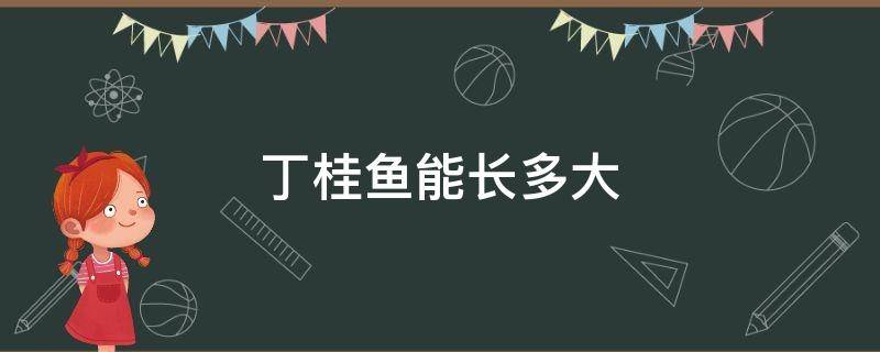 丁桂鱼能长多大 丁桂鱼能长多大?