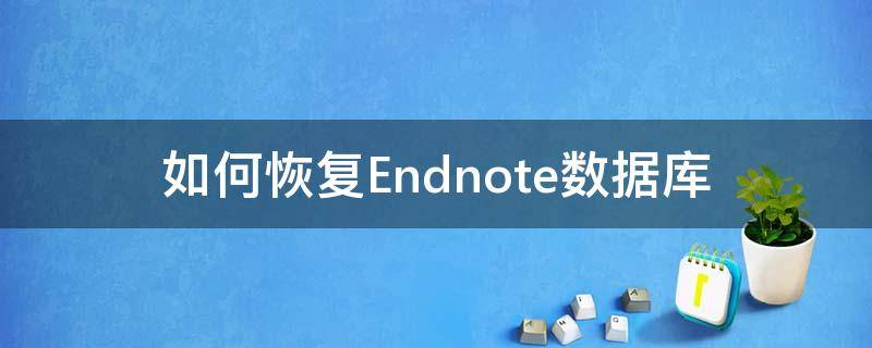 如何恢复Endnote数据库 endnote怎么恢复上一步操作