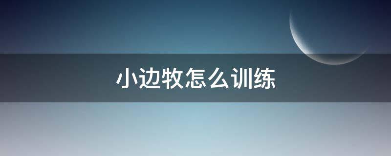 小边牧怎么训练 两个月的小边牧怎么训练