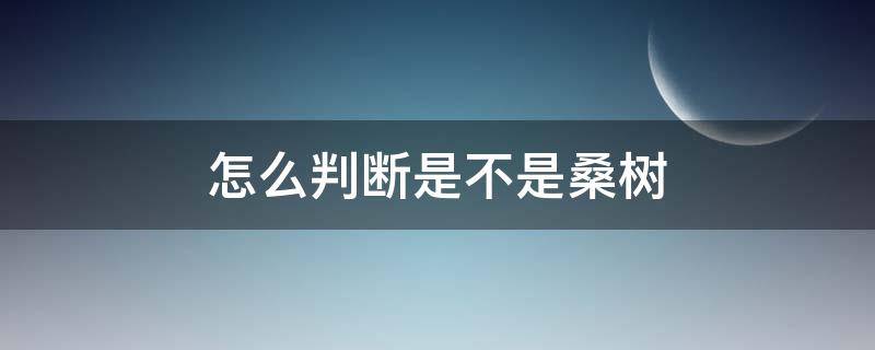 怎么判断是不是桑树 怎么看是不是桑树