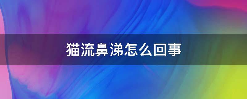 猫流鼻涕怎么回事（猫流鼻涕咋回事）