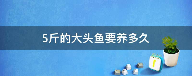 5斤的大头鱼要养多久 大头鱼要养多久才能卖