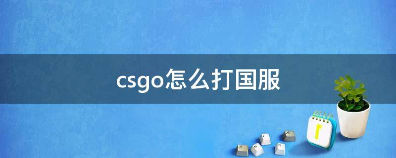 csgo怎么打国服（csgo怎么打国服官匹）