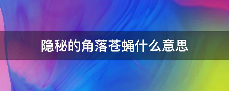 隐秘的角落苍蝇什么意思（隐秘的角落为什么叫苍蝇）