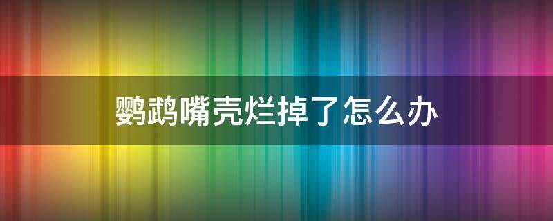 鹦鹉嘴壳烂掉了怎么办 鹦鹉嘴烂了怎么回事