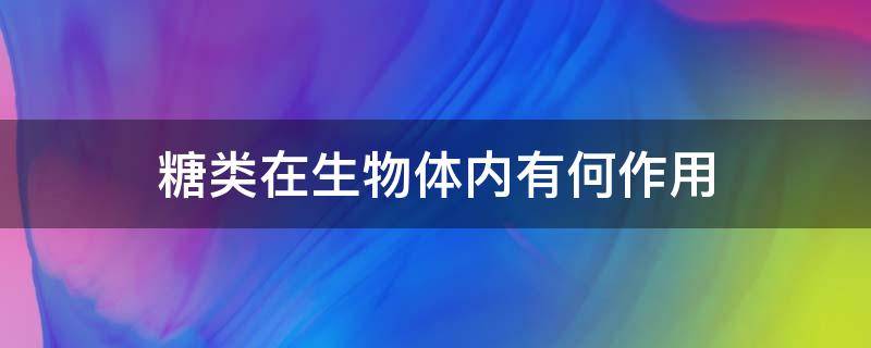 糖类在生物体内有何作用（糖类在生物体内的作用）