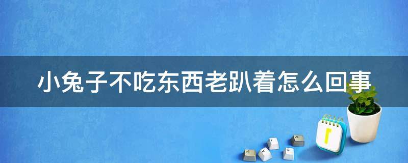 小兔子不吃东西老趴着怎么回事（小兔子不吃东西老趴着怎么回事儿）