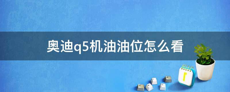 奥迪q5机油油位怎么看（奥迪q5怎样看机油油位）