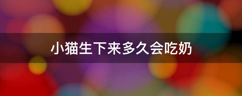 小猫生下来多久会吃奶 刚生下来的小猫多久会吃奶