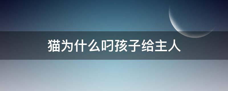 猫为什么叼孩子给主人 为什么猫把孩子叼给主人