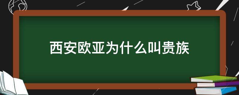 西安欧亚为什么叫贵族