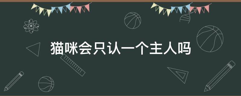 猫咪会只认一个主人吗 宠物猫只认一个主人吗