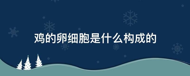 鸡的卵细胞是什么构成的（鸡卵中什么构成卵细胞）