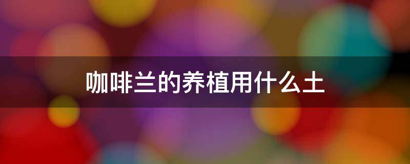 咖啡兰的养植用什么土 咖啡兰用什么植料最好