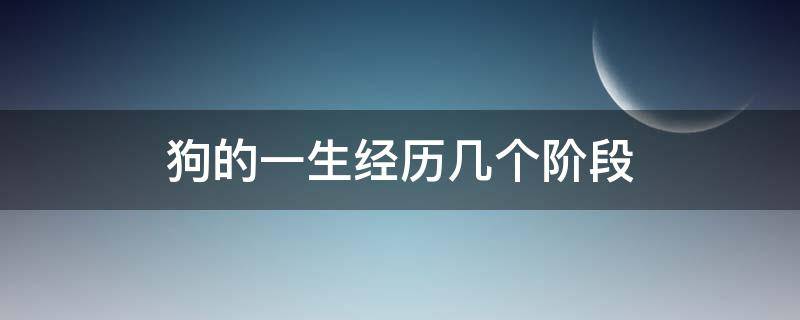 狗的一生经历几个阶段 狗的一生经历几个阶段科学图片