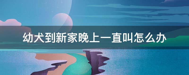 幼犬到新家晚上一直叫怎么办 幼犬刚到新家晚上叫怎么办