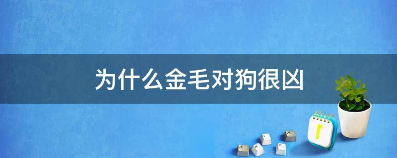 为什么金毛对狗很凶 金毛狗凶不凶