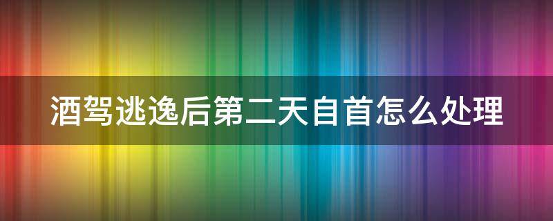 酒驾逃逸后第二天自首怎么处理（酒驾逃逸后第二天自首怎么处理最好）