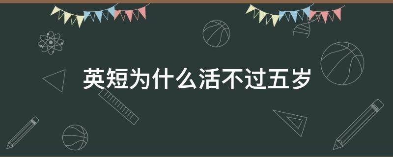 英短为什么活不过五岁 英短为什么活不过5岁