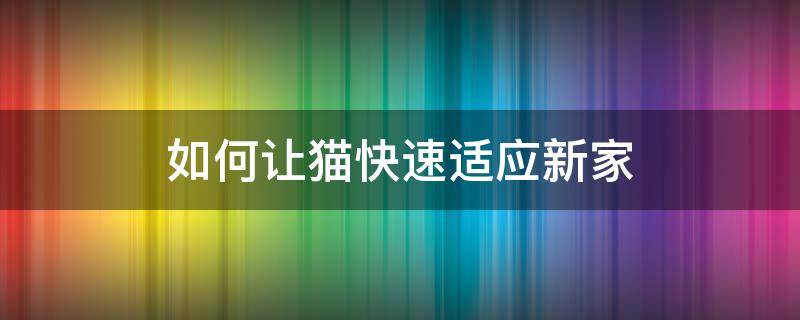 如何让猫快速适应新家 怎么让猫快速适应新家