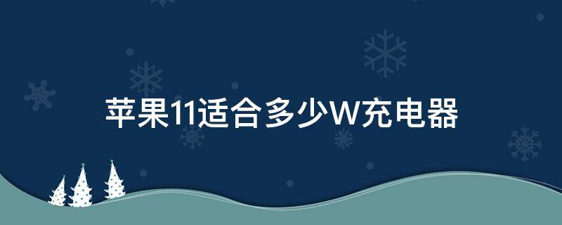 苹果11适合多少W充电器 苹果11适用多少W的充电器