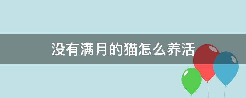 没有满月的猫怎么养活（没满月小猫怎么养活）