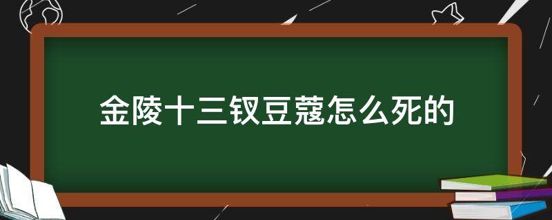 金陵十三钗豆蔻怎么死的（金陵十三钗豆蔻死的那一幕在多少分）