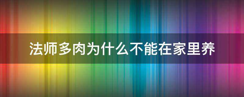 法师多肉为什么不能在家里养 法师多肉可以放在室内养吗