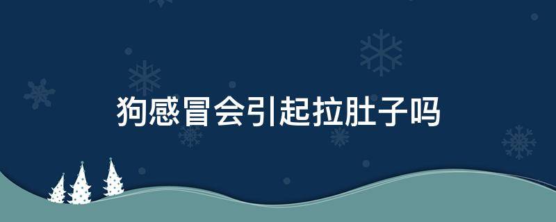 狗感冒会引起拉肚子吗（狗狗有点感冒和拉肚怎么办）