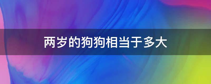 两岁的狗狗相当于多大（两岁半的狗狗相当于多大）