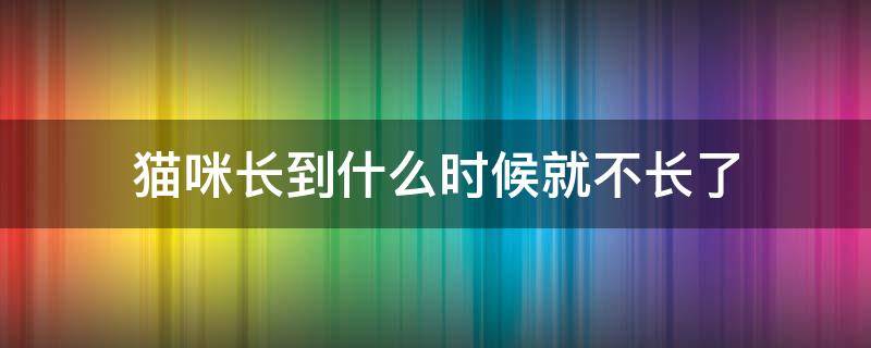 猫咪长到什么时候就不长了（猫咪要长到什么时候就不长了）